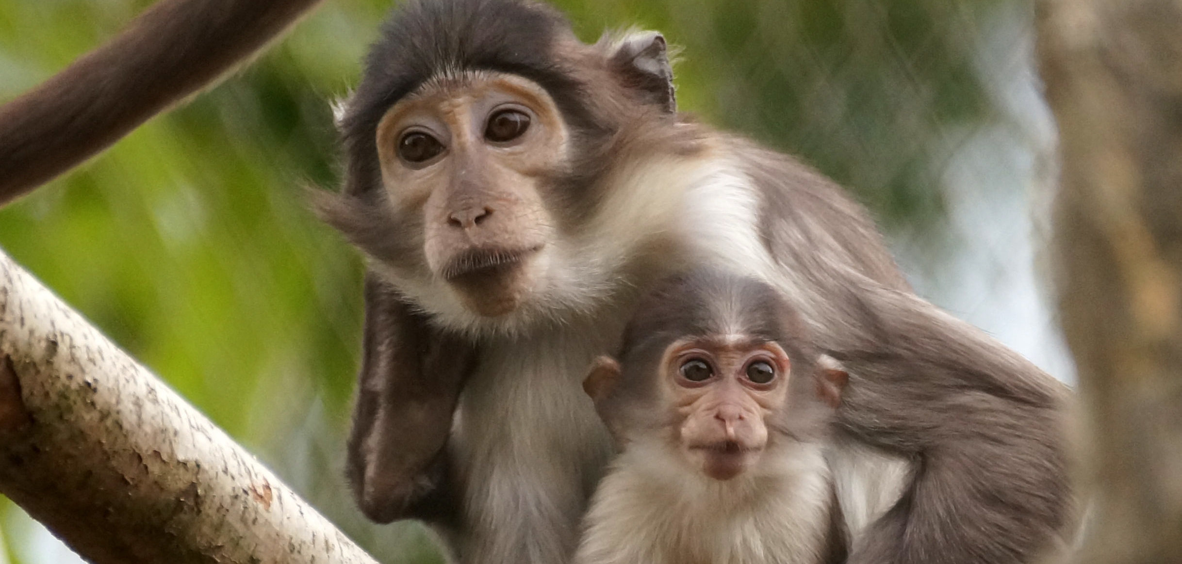 Inza Koné - Future For Nature