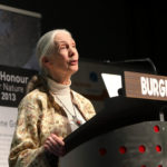 Jane Goodall speaking at the FFN Awards as Guest of Honour in 2013