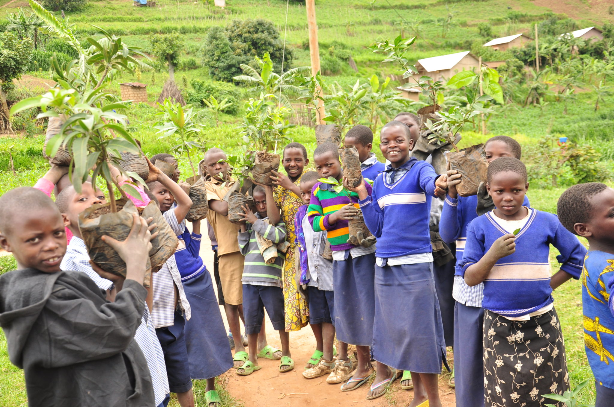 An Extraordinary Year for Rwanda Wildlife Conservation Association